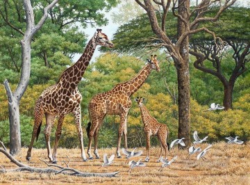 manada de jirafas y pájaros Pinturas al óleo